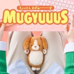 Next Product Image